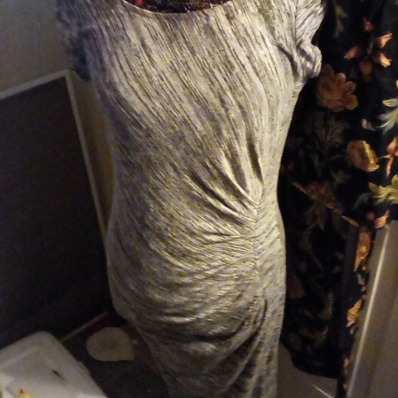 Suzy Sheer Dress - Picture 3 of 4